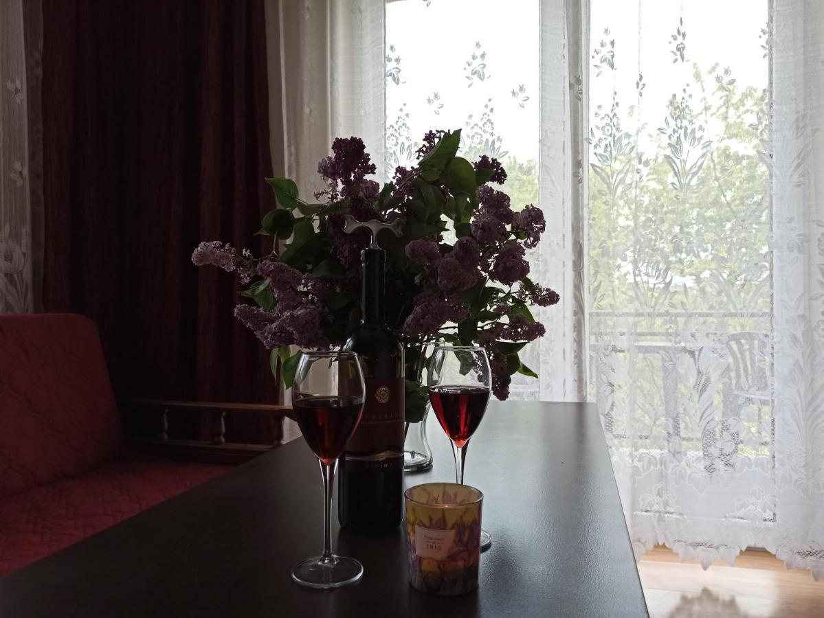 Apartament-Studio, Pokoje U Lucy Rabka-Zdrój Extérieur photo