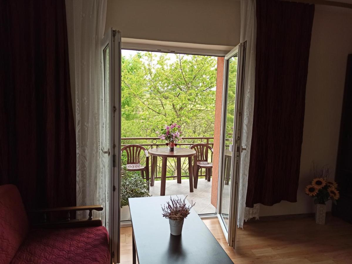 Apartament-Studio, Pokoje U Lucy Rabka-Zdrój Extérieur photo